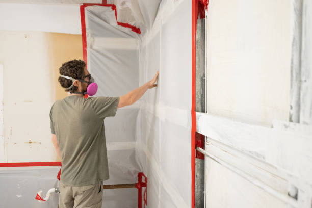 Best Mold Prevention Services  in Pickens, SC