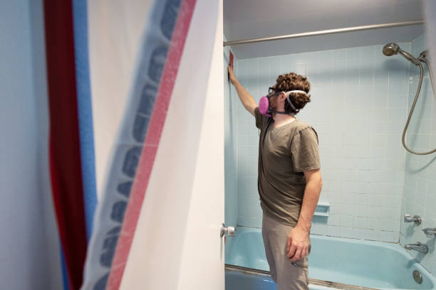 Best Emergency Mold Remediation  in Pickens, SC