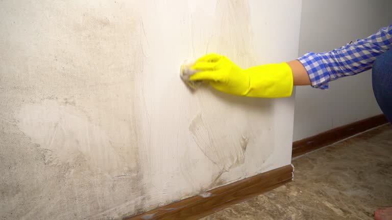 Best Comprehensive Air Testing for Mold Contaminants  in Pickens, SC