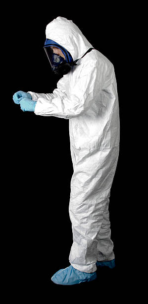 Best Mold Odor Removal Services  in Pickens, SC